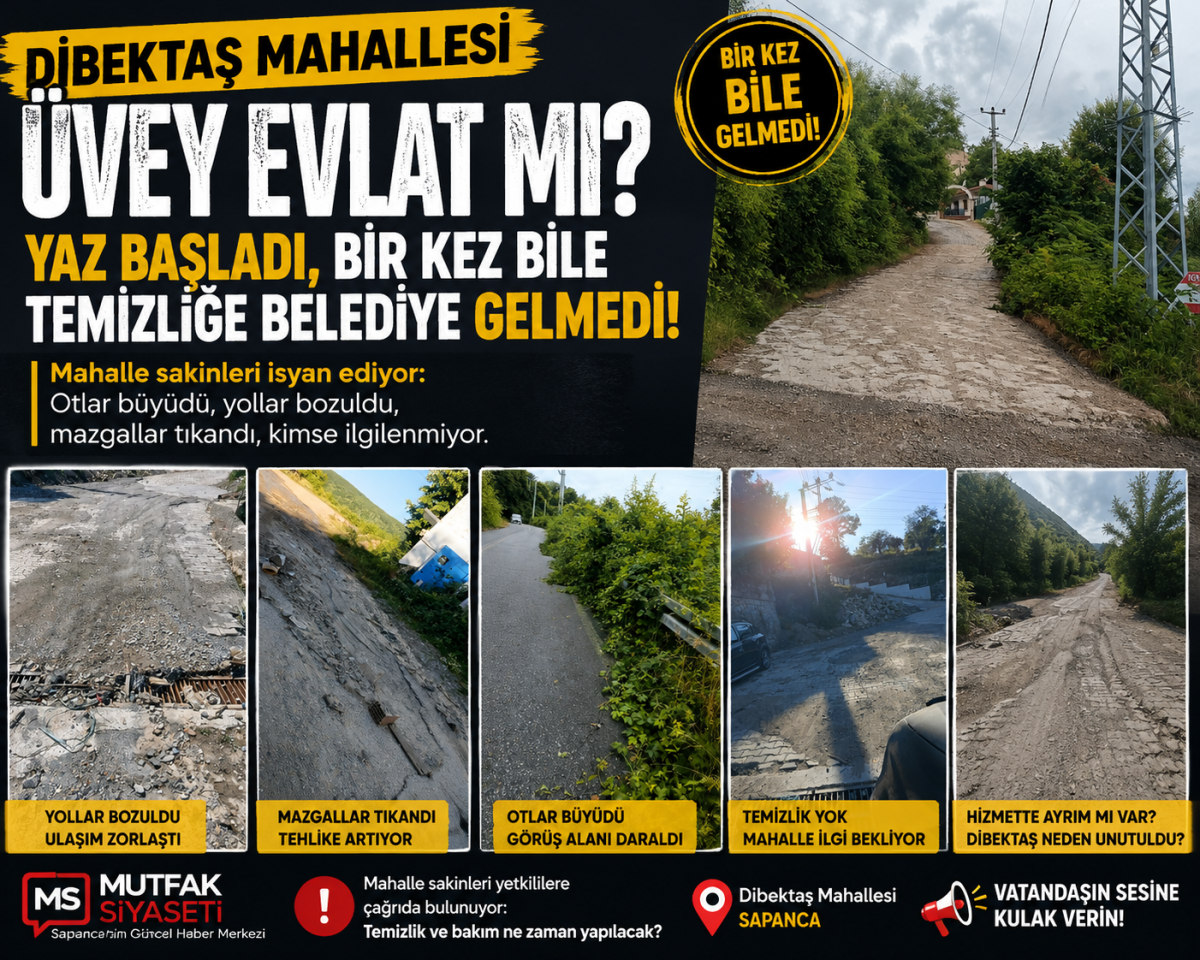 Dibektaş Mahallesi Üvey Evlat mı? Vatandaşlardan Hizmet Tepkisi