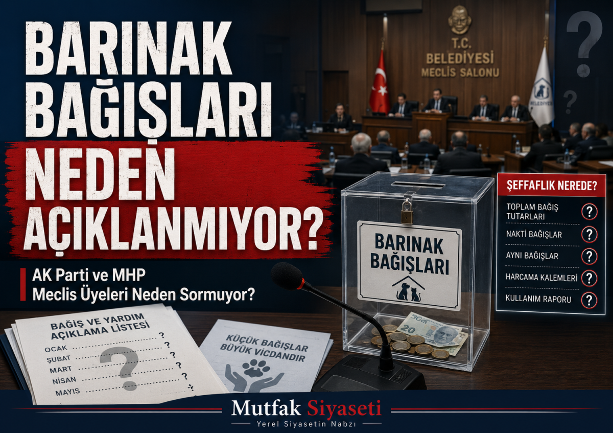 Barınak Bağışları Neden Artık Mecliste Açıklanmıyor?